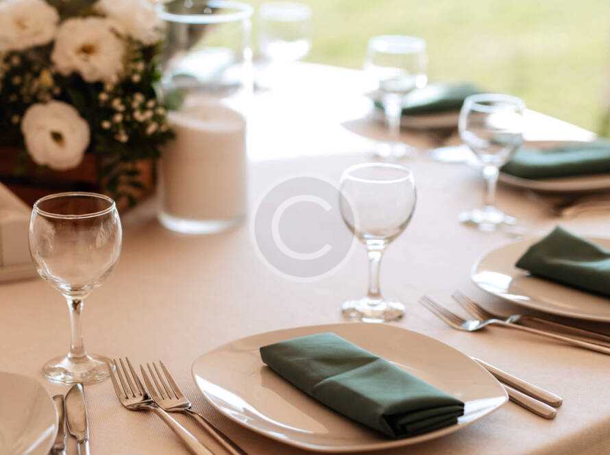 Img 74 Copyright 890x664