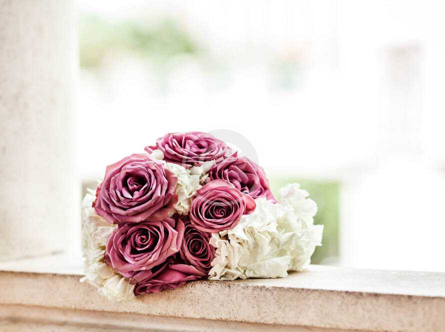 Img 11 Copyright 890x664