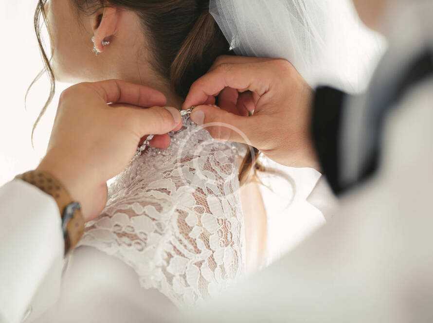 Img 8 Copyright 890x664