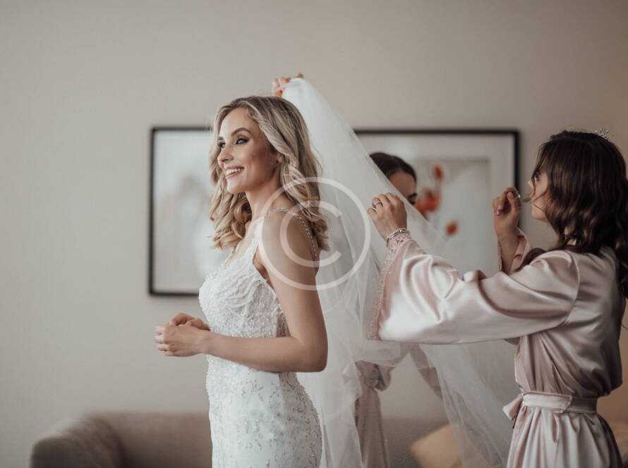 Img 121 Copyright 890x664