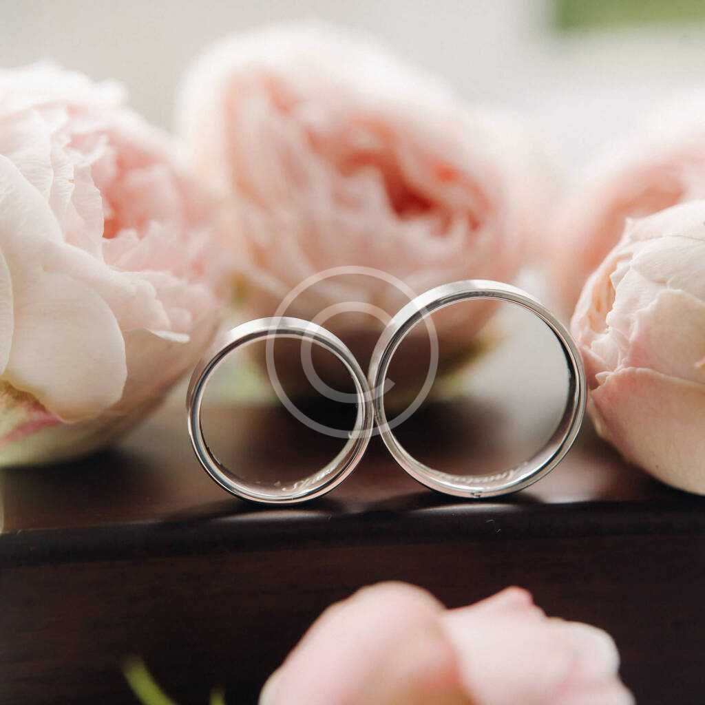 Img 2 Copyright 1024x1024