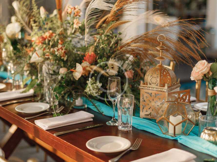 Img 51 Copyright 890x664